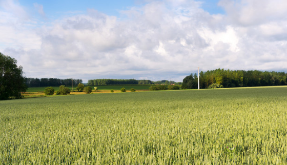 智慧農業(yè)駛上&ldquo;快車道&rdquo;還有哪些問題要解決