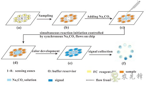 茶多酚含量有多少？這個(gè)技術(shù)10分鐘就可測(cè)出來