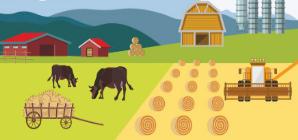 BAT的智慧農(nóng)業(yè)側(cè)重點(diǎn)分別是啥？