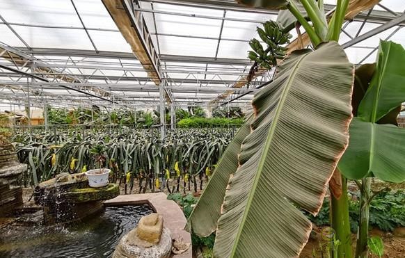 現(xiàn)代農業(yè)