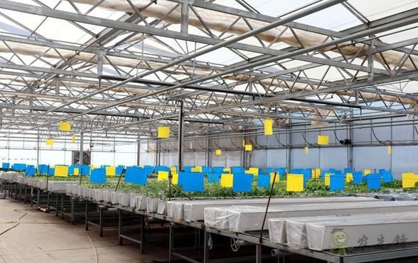 現(xiàn)代農業(yè)