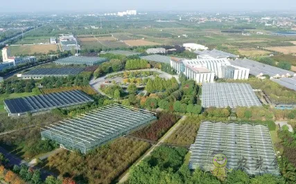 楊凌：強化使命擔當　交好&ldquo;上合答卷&rdquo;