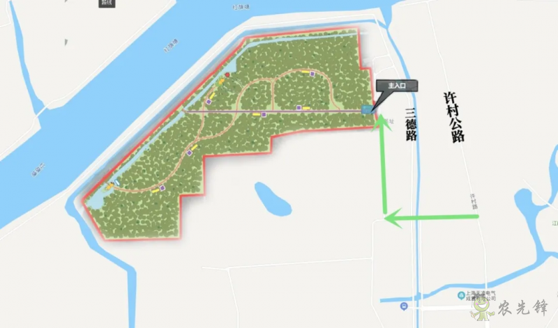 松江首個(gè)開(kāi)放式休閑林地建成開(kāi)放