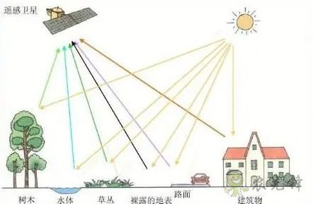 中國遙感衛(wèi)星再添新成員 看TA在太空如何對(duì)農(nóng)作物“稱斤計(jì)兩”？