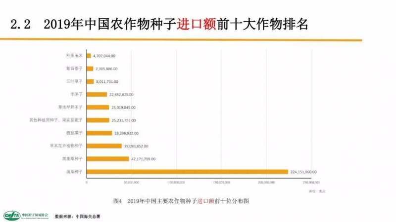 中國每年進口7萬噸“洋種子”:14億人的飯碗,能端穩嗎?