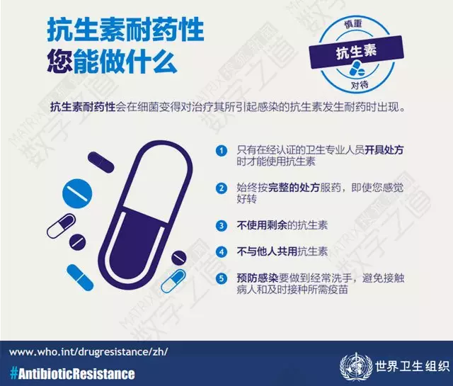 “抗生素肉”擺滿中國人餐桌，豬肉含量居然是牛肉的5倍!