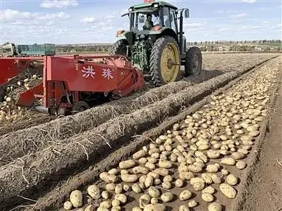 農機&ldquo;青島勢力&rdquo;崛起
