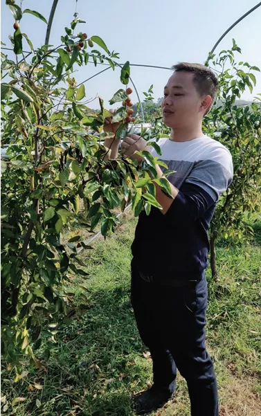 寧鄉：新型職業農民成為令人羨慕的&ldquo;綠領&rdquo;