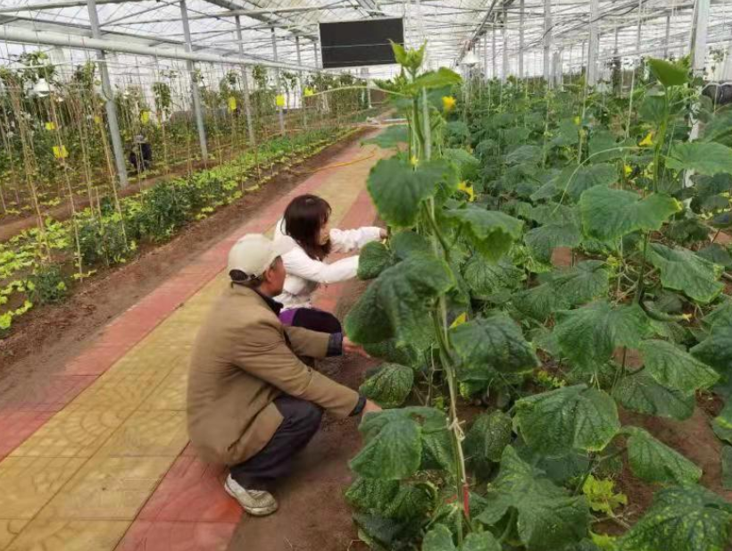 濰坊青州:智慧農業為鄉村振興注入新活力