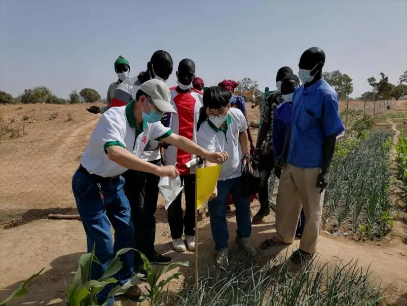 糧食產(chǎn)量高，生活有余裕&mdash;&mdash;中國(guó)專(zhuān)家在布開(kāi)展水稻高產(chǎn)競(jìng)賽和蔬菜種植培訓(xùn)