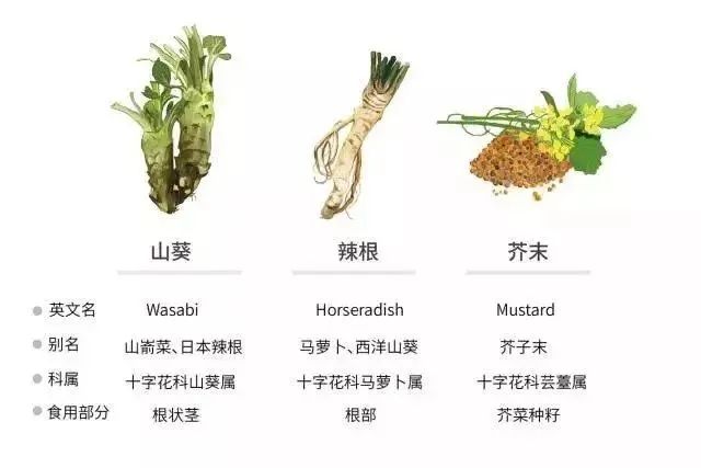 日本百年芥末農場：精耕單品，專注美食，以靜制動